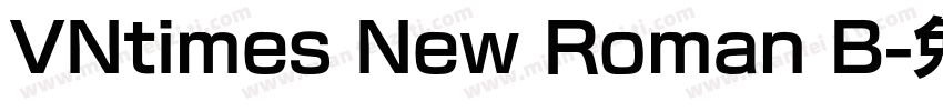 VNtimes New Roman B字体转换